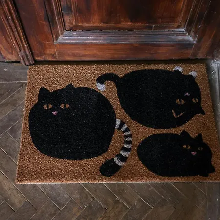 Fatcat Apartment *