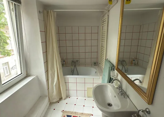 Fatcat Διαμέρισμα Βουκουρέστι